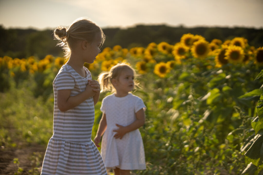 Home Appleland Farm Market